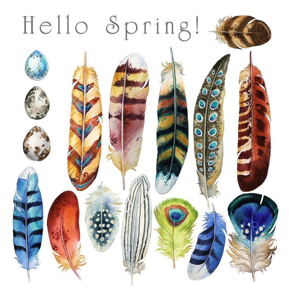 HELLO Spring!